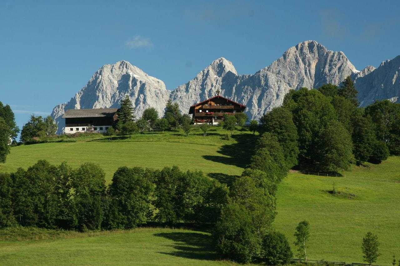 Pension Stammerhof Schladming Dış mekan fotoğraf