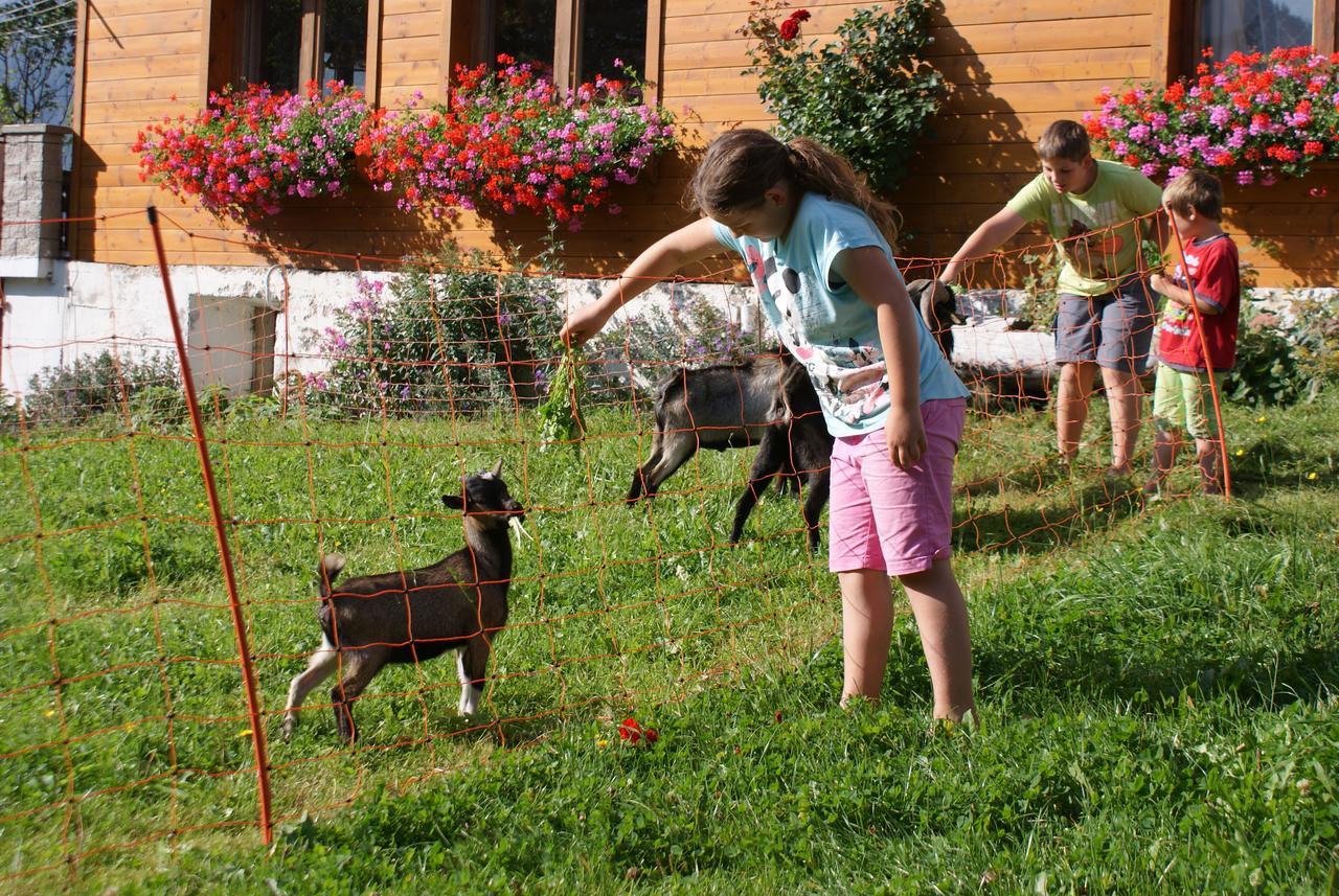 Pension Stammerhof Schladming Dış mekan fotoğraf