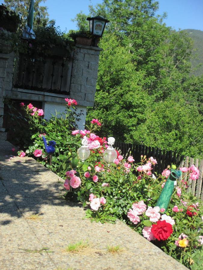 Pension Stammerhof Schladming Dış mekan fotoğraf